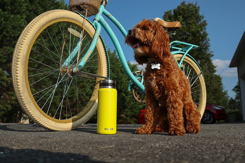 Cycling for Beginners: 5 Tips to Get Started