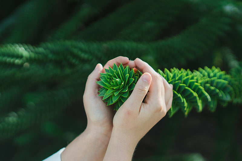 Celebrate Earth Day With These Smart Water Choices