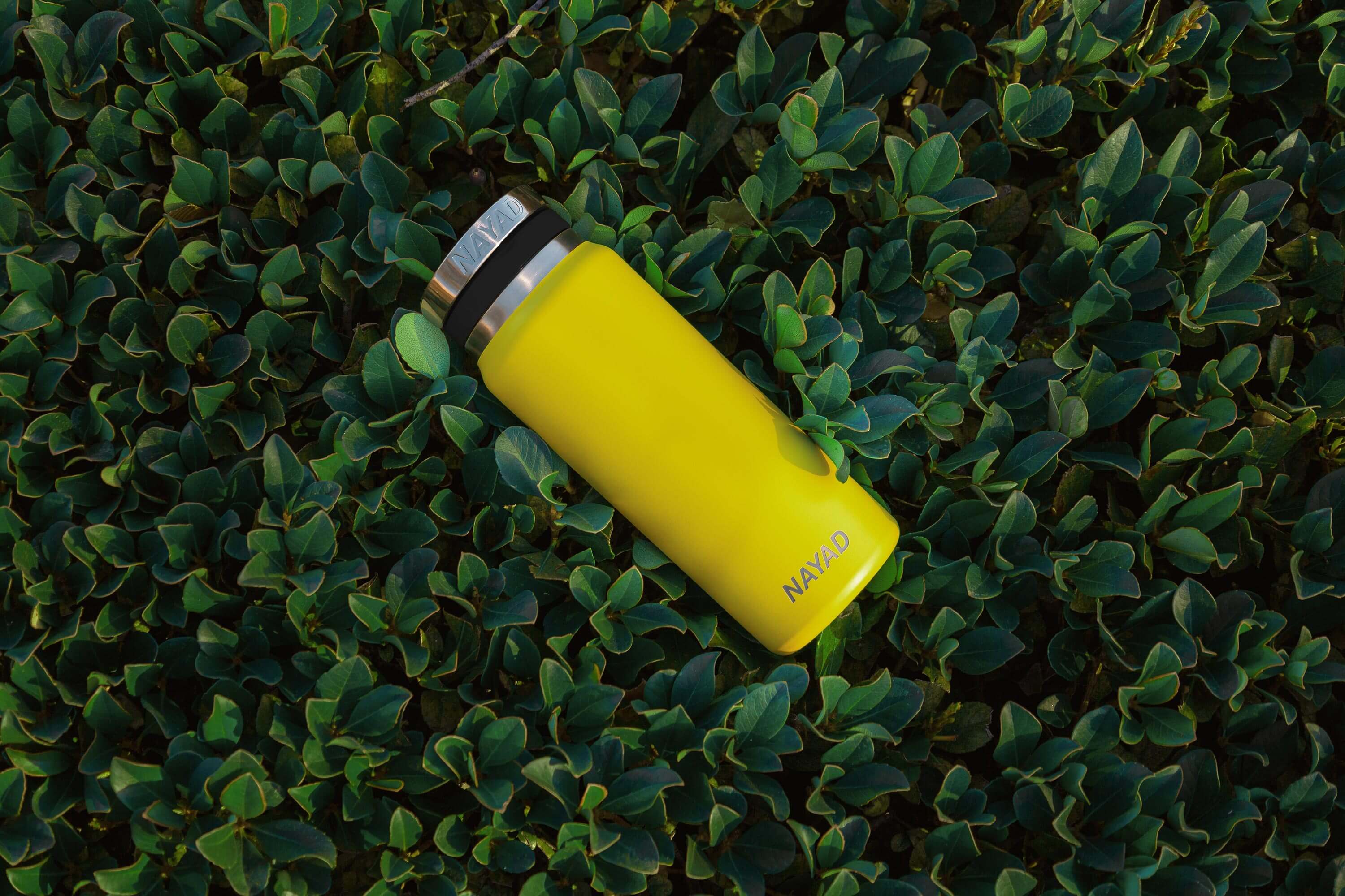 Introducing the Roamer Bottle