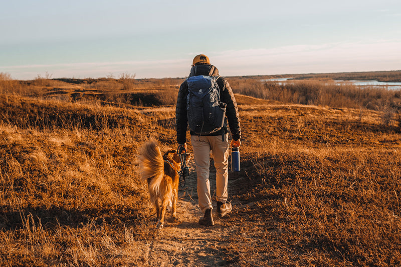 10 Exciting Outdoor Activities to Enjoy with Your Canine Companion