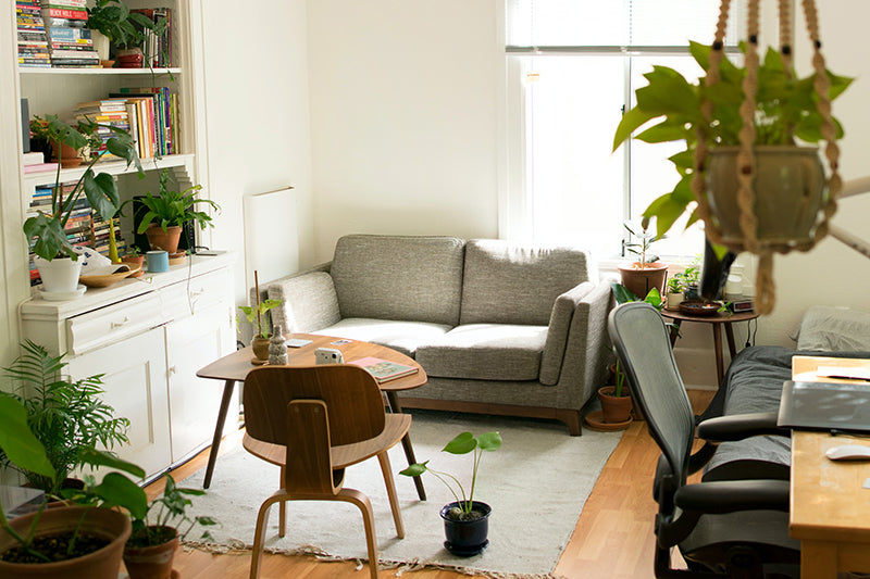5 Ways to Create An Eco-Friendly Home