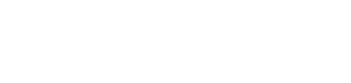 nayad logo in white